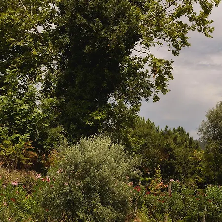 Tatil Evi Moura *